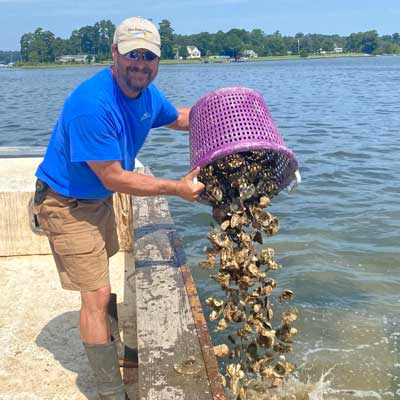 Todd Janeski dumping oysters in a body of water