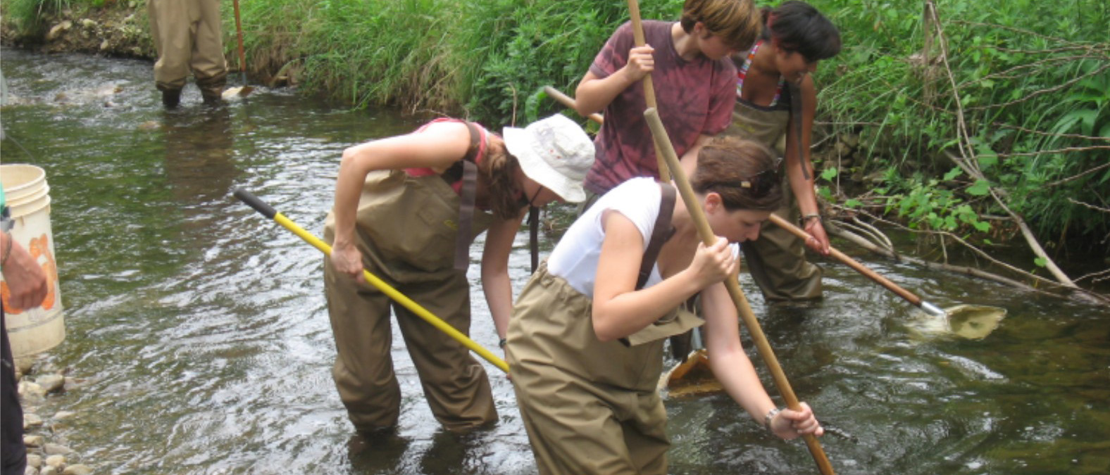 Students with waders standing in the river with sticks in the water