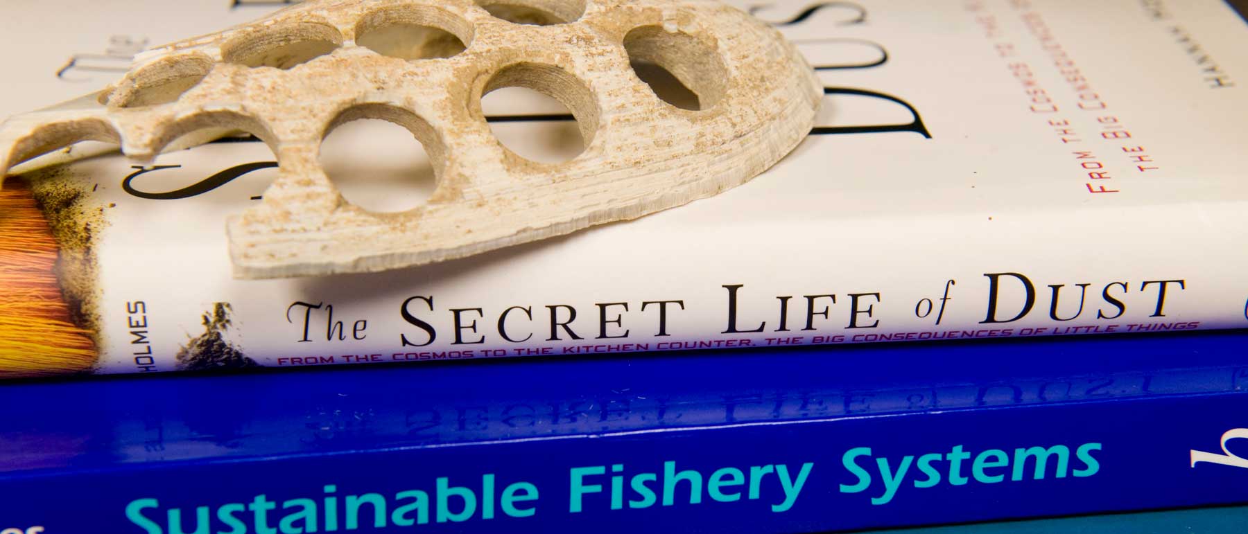 a fish skeleton atop two books: the secret life of dust and sustainable fishery systems