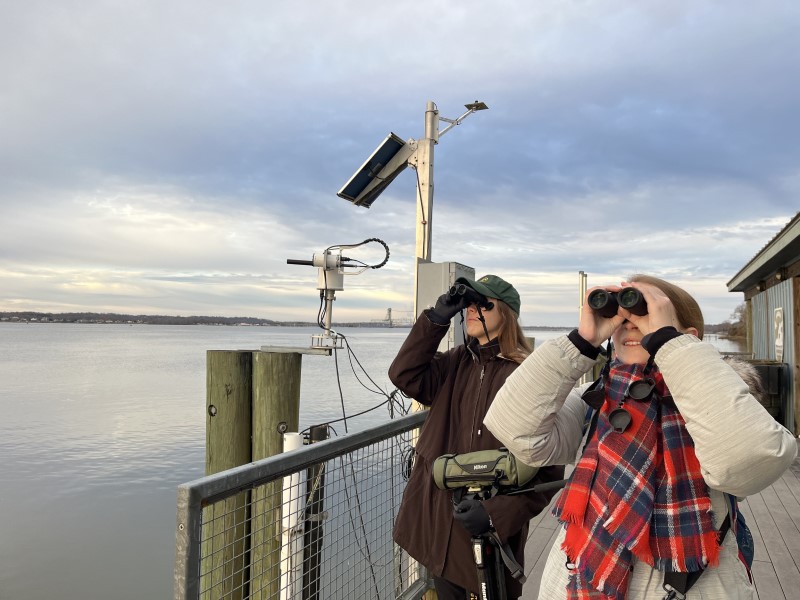 Two women stand on a pier with binoculars, looking to the sky trying to find birds